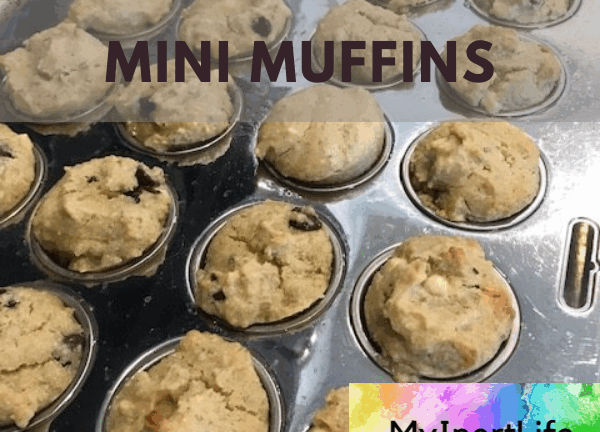 lower histamine cassava mini muffins