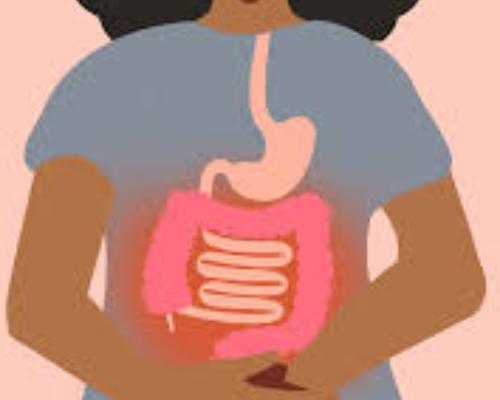 My SIBO and Gut Health Game Changer