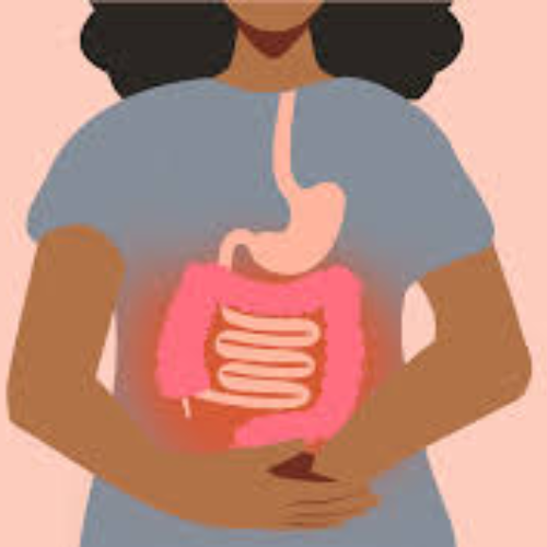 My SIBO and Gut Health Game Changer