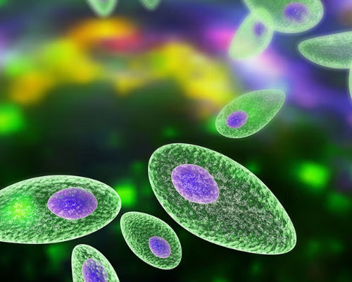 The Biogenic Feedback Loop Between Parasites and MCAS