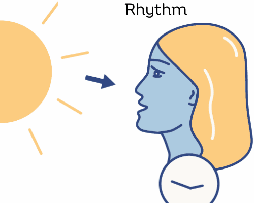 Circadian Hygiene