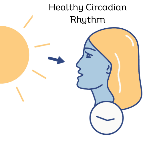 Circadian Hygiene