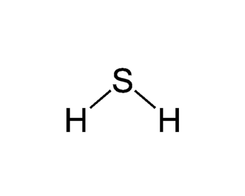 Sulfur Pathways and Inflammation