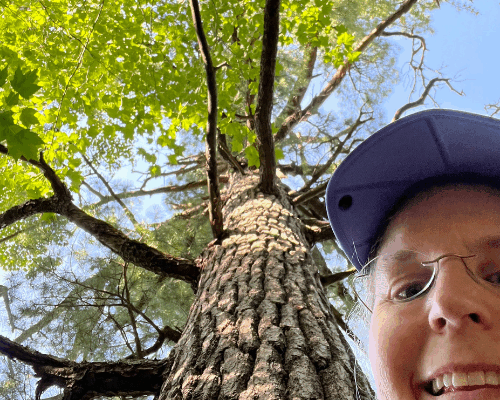 More Miles on the SHT Near Spirit Mountain