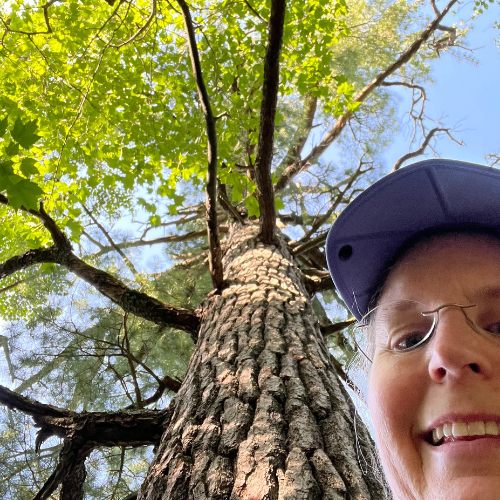 More Miles on the SHT Near Spirit Mountain