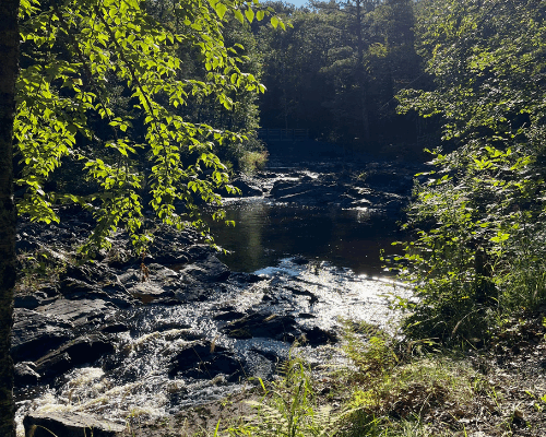 First Section of the North Country Trail Wisconsin