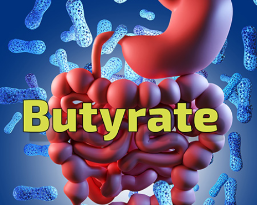 Benefits of Butyrate