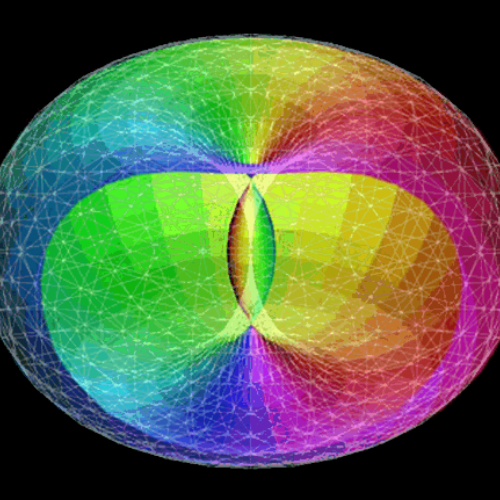 What Are You Feeding the Field?