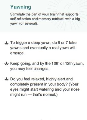 Spotlight on Nervous System Regulating Tool: Yawning