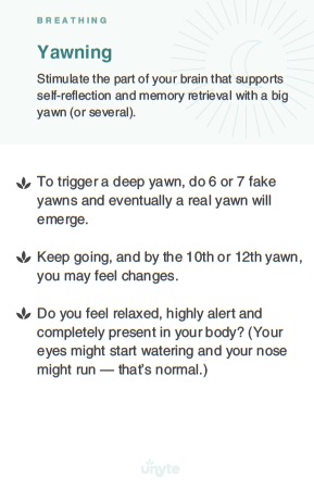 Spotlight on Nervous System Regulating Tool: Yawning