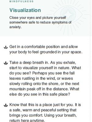 Spotlight on Nervous System Regulating Tool: Visualization
