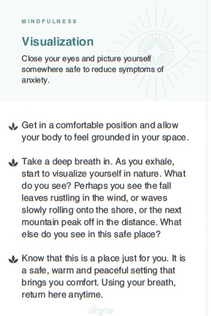 Spotlight on Nervous System Regulating Tool: Visualization