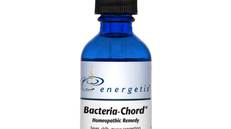 bacteria chord