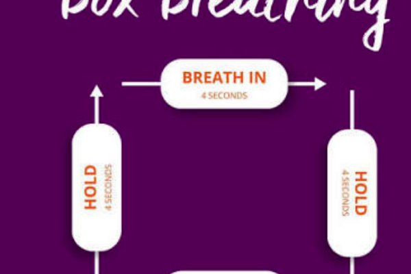 Spotlight on Nervous System Regulating Tool: 4-part box breath