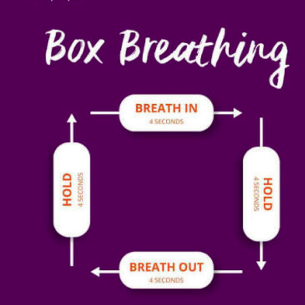 Spotlight on Nervous System Regulating Tool: 4-part box breath